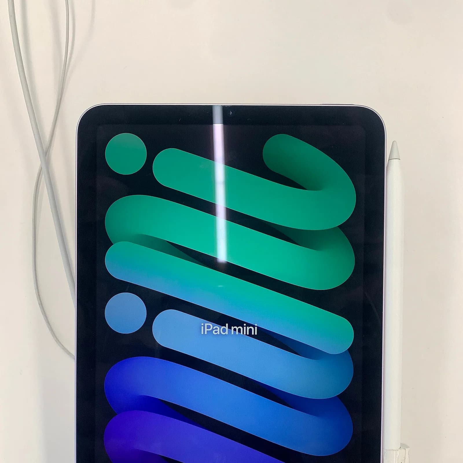 iPad mini visto de frente